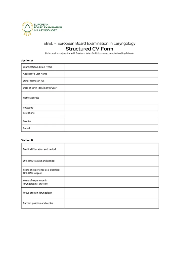 Preview of Summary CV Form